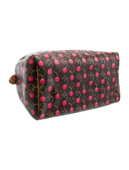 Louis Vuitton LV Monogram Speedy 25