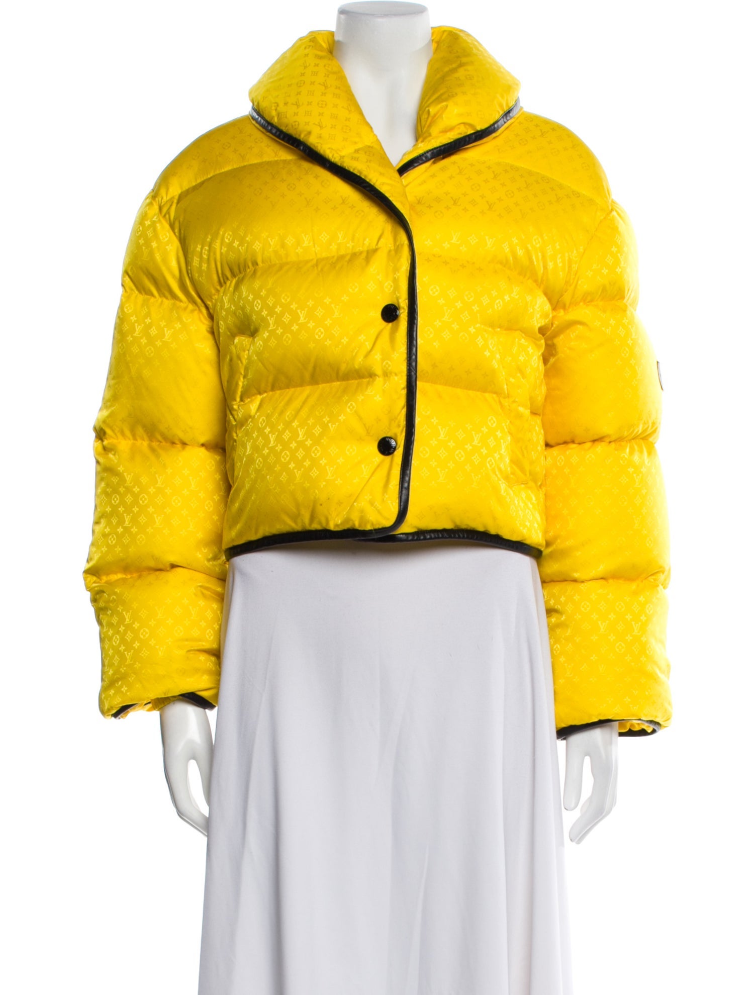 Louis Vuitton 2020 Down Jacket