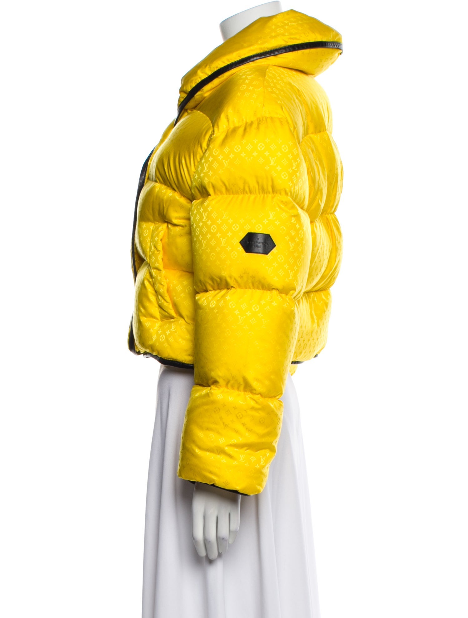 Louis Vuitton 2020 Down Jacket