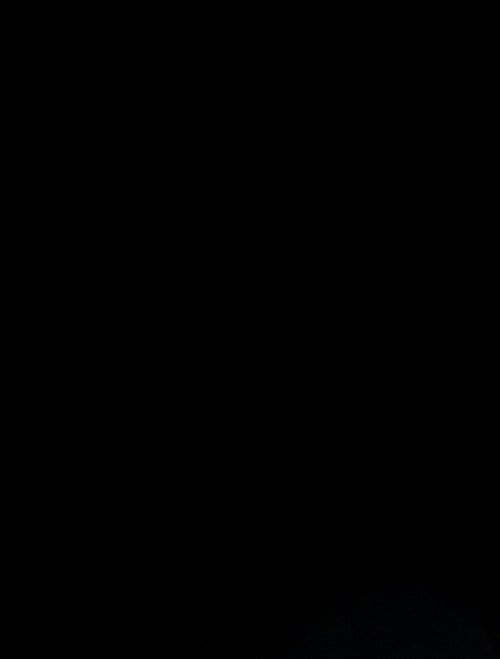 Louis Vuitton Taurillon Leather Armand