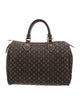 Louis Vuitton Monogram Mini Lin Speedy 30