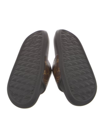Louis Vuitton LV Monogram Slides