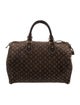 Louis Vuitton Monogram Mini Lin Speedy 30