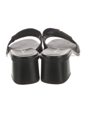 Louis Vuitton 2019 LV Monogram Slides