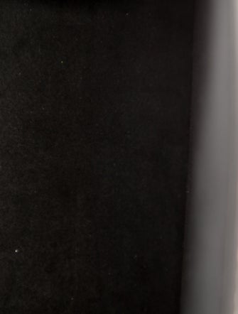 Louis Vuitton LV Monogram Spring Street