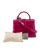 Louis Vuitton Alligator Rose Des Vents Mini