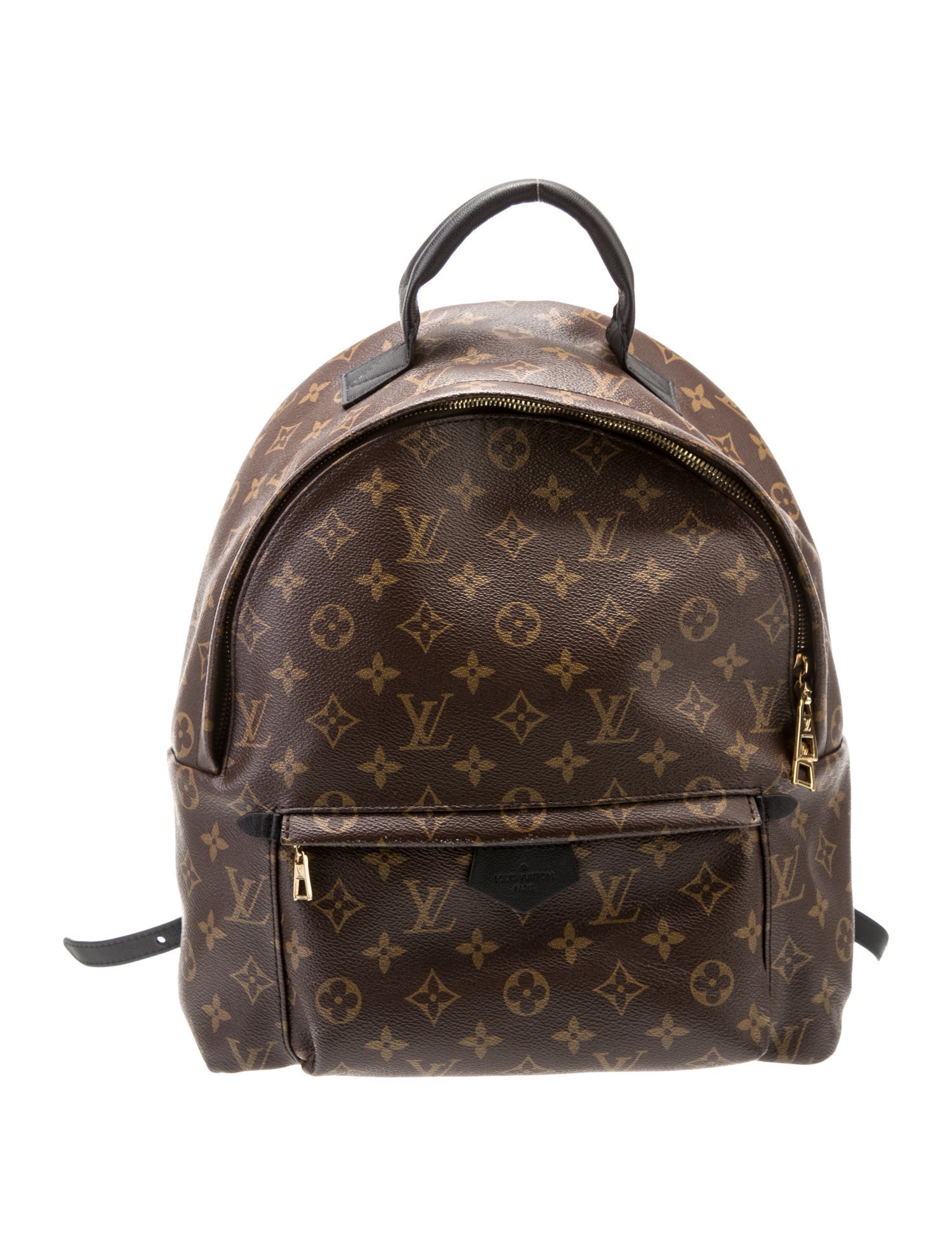 Louis Vuitton LV Monogram Palm Springs