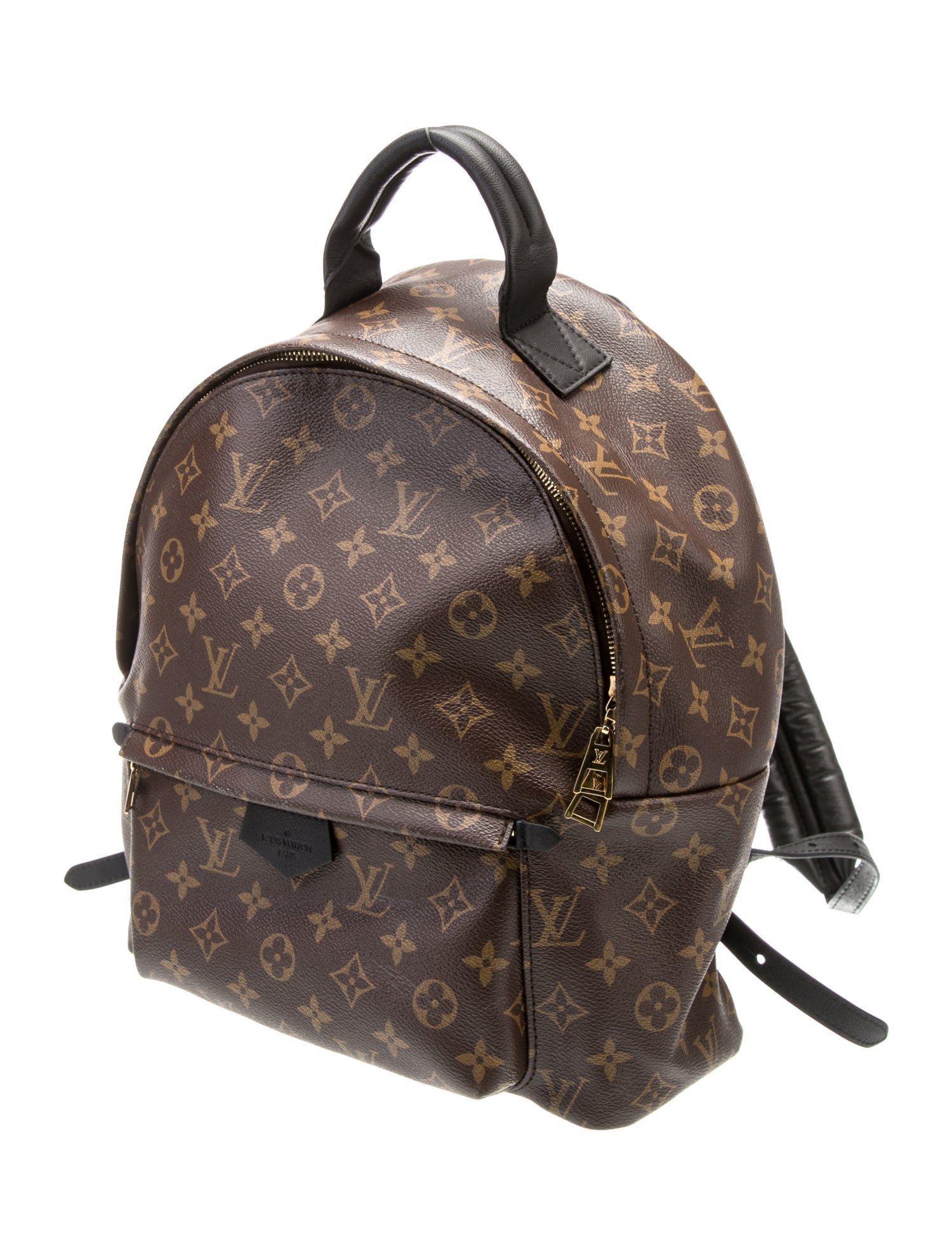Louis Vuitton LV Monogram Palm Springs