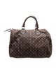 Louis Vuitton Monogram Mini Lin Speedy 30