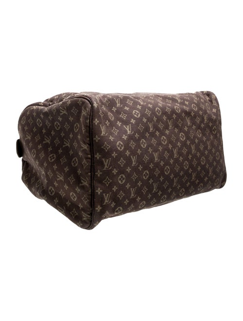 Louis Vuitton Monogram Mini Lin Speedy 30