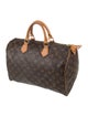 Louis Vuitton LV Monogram Speedy