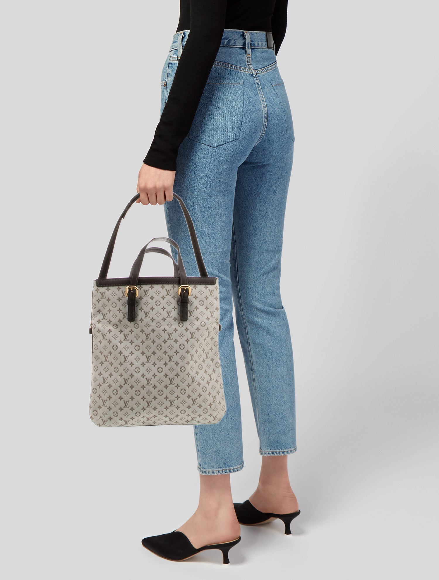 Louis Vuitton Monogram Mini Lin Francoise