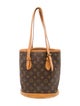 Louis Vuitton LV Monogram Petit Bucket