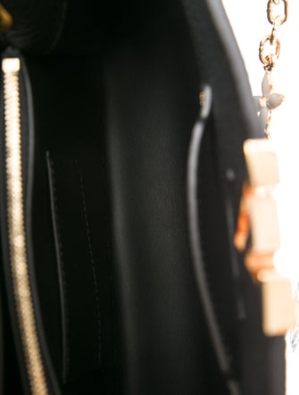 Louis Vuitton Leather Capucines MM