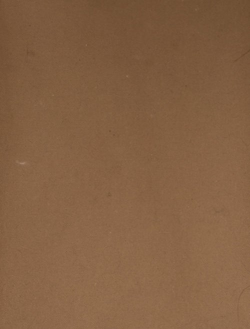 Louis Vuitton LV Monogram Neverfull GM