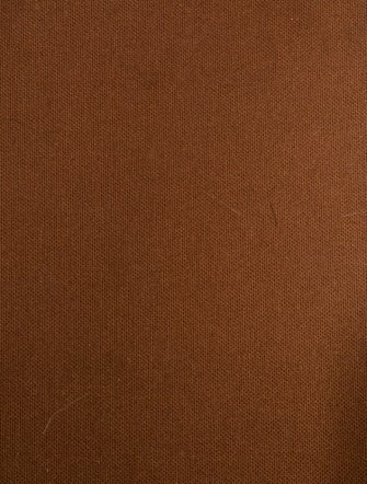 Louis Vuitton LV Monogram Alma PM