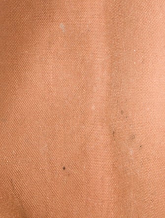 Louis Vuitton LV Monogram Eva Pochette