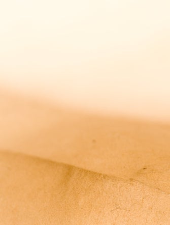 Louis Vuitton LV Monogram Looping GM