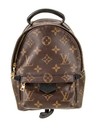 Louis Vuitton LV Monogram Palm Springs Mini