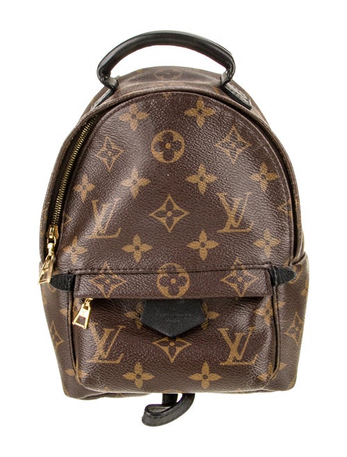 Louis Vuitton LV Monogram Palm Springs Mini