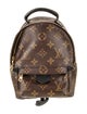 Louis Vuitton LV Monogram Palm Springs Mini