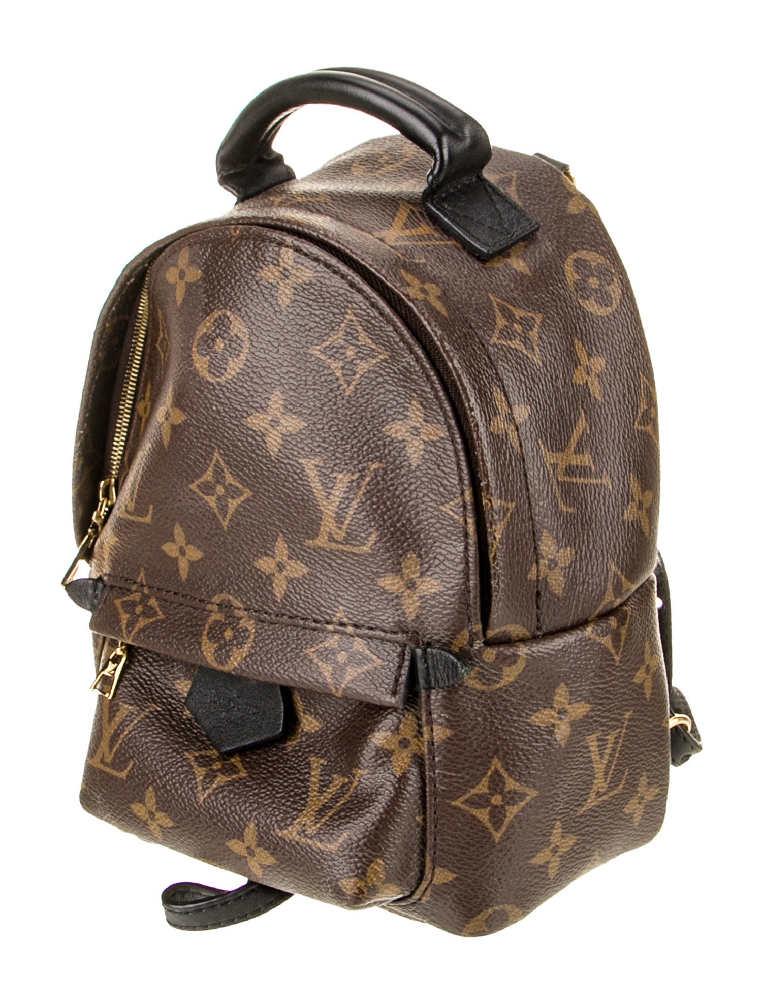 Louis Vuitton LV Monogram Palm Springs Mini
