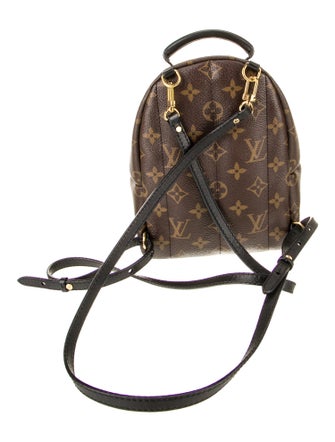 Louis Vuitton LV Monogram Palm Springs Mini