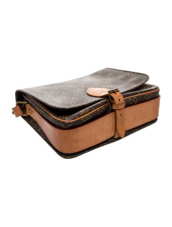 Louis Vuitton LV Monogram Cartouchière 26