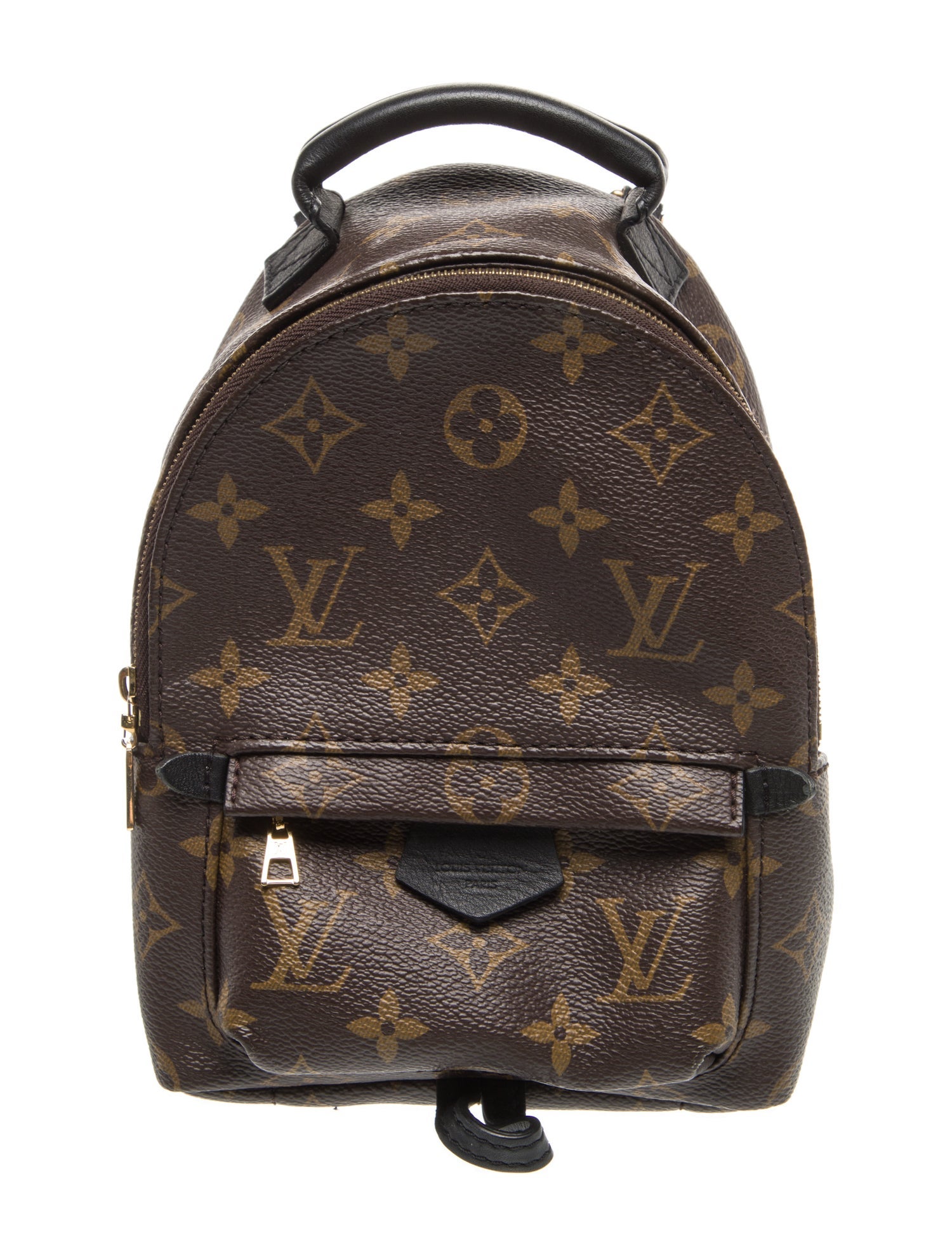 Louis Vuitton LV Monogram Palm Springs Mini