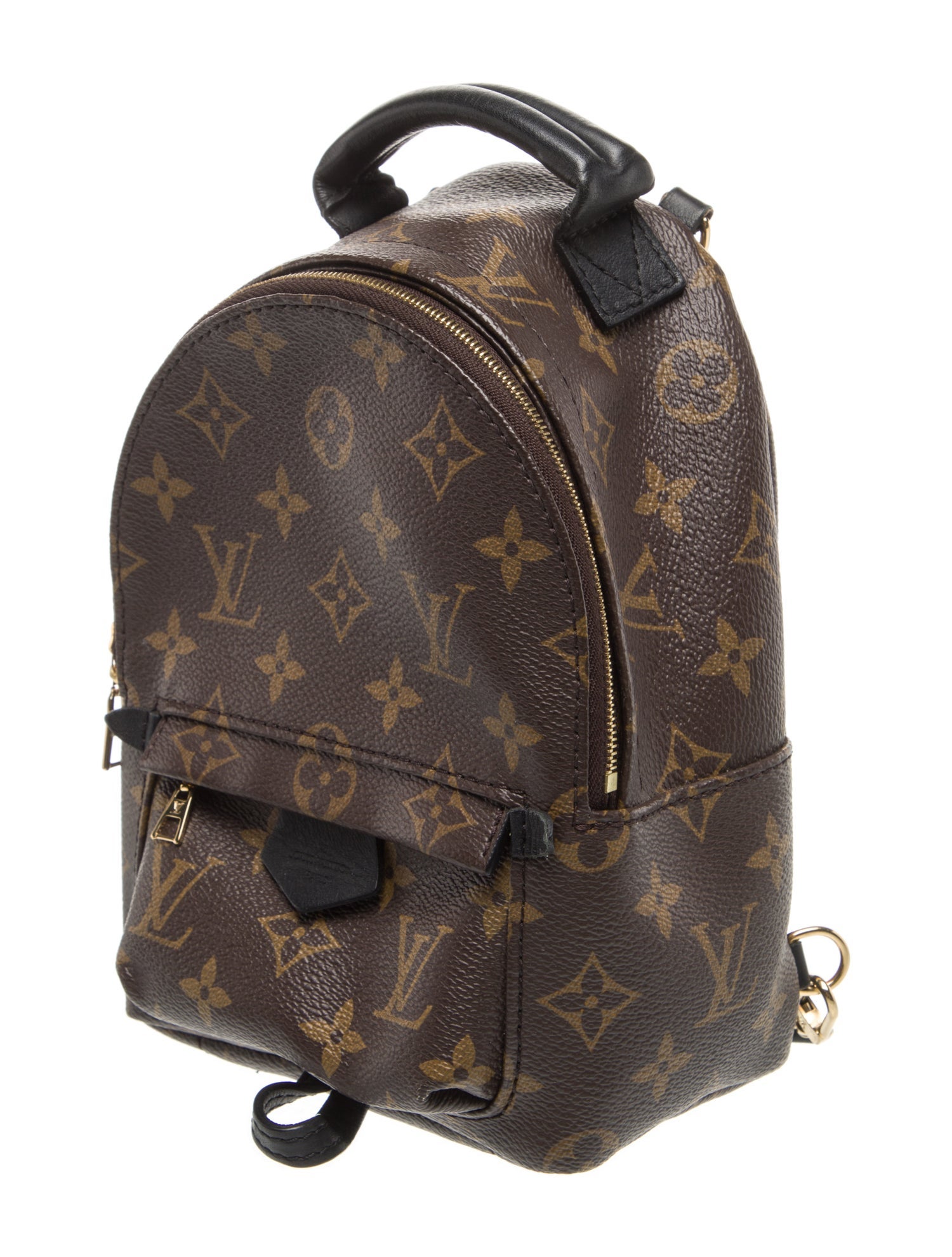 Louis Vuitton LV Monogram Palm Springs Mini