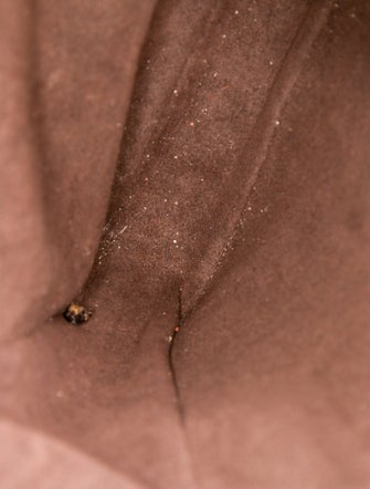 Louis Vuitton LV Monogram Pochette Métis