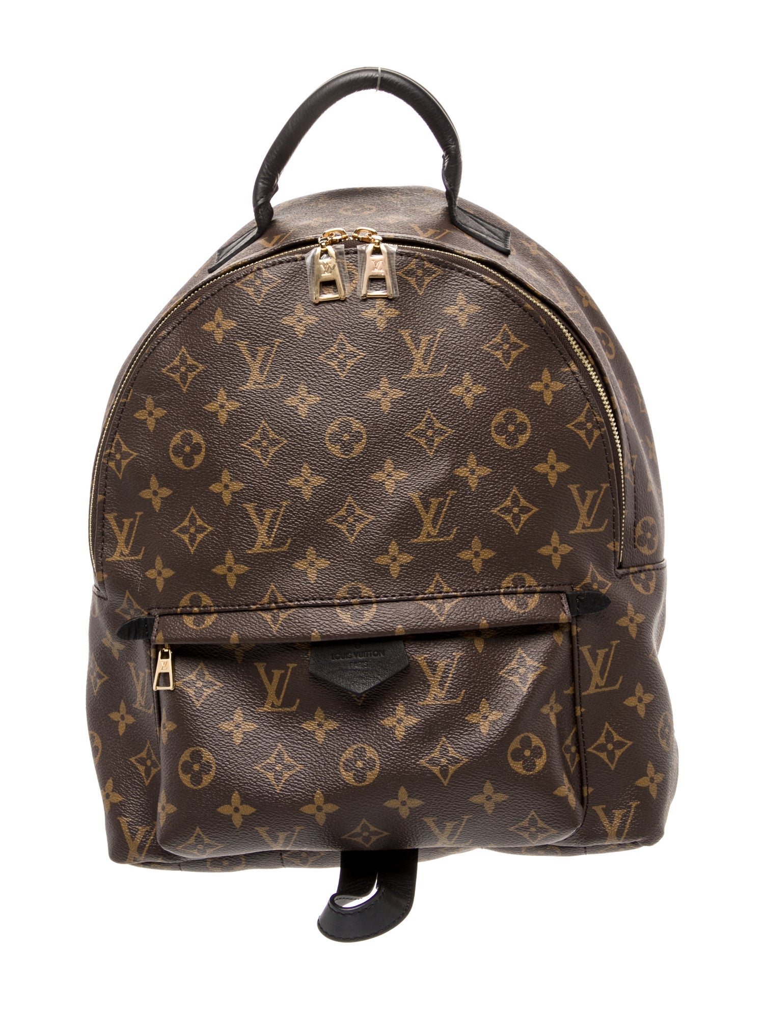 Louis Vuitton LV Monogram Palm Springs MM