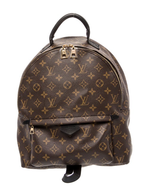 Louis Vuitton LV Monogram Palm Springs MM
