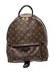 Louis Vuitton LV Monogram Palm Springs MM