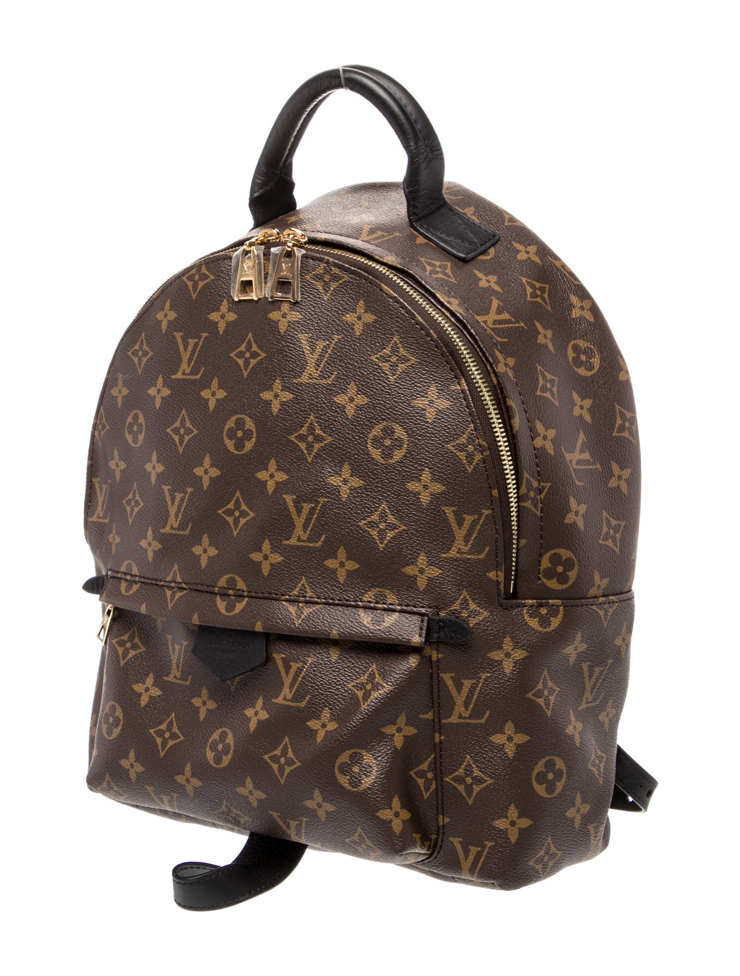 Louis Vuitton LV Monogram Palm Springs MM
