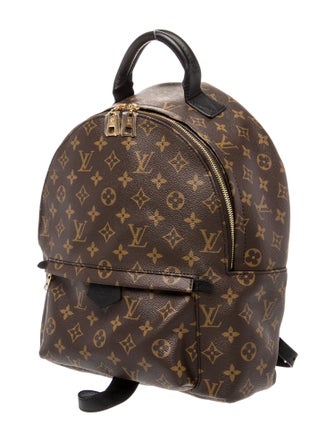 Louis Vuitton LV Monogram Palm Springs MM