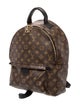 Louis Vuitton LV Monogram Palm Springs MM