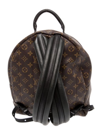 Louis Vuitton LV Monogram Palm Springs MM
