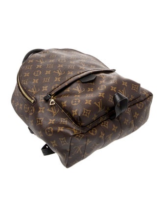 Louis Vuitton LV Monogram Palm Springs MM