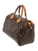 Louis Vuitton LV Monogram Speedy 30