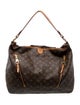 Louis Vuitton LV Monogram Delightful GM