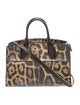 Louis Vuitton Wild Animal City Steamer East West