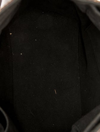 Louis Vuitton LV Monogram Gaia