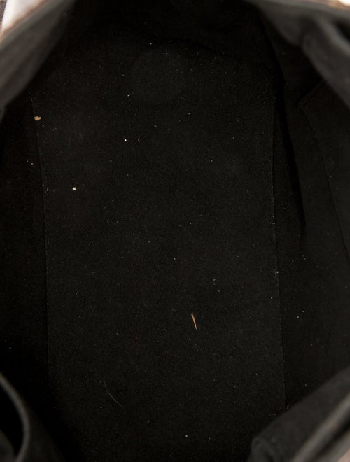 Louis Vuitton LV Monogram Gaia