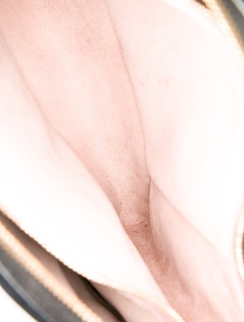 Louis Vuitton Monogram Cousin PM