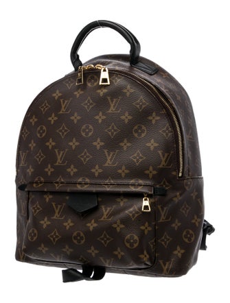 Louis Vuitton LV Monogram Palm Springs MM