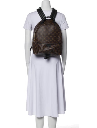 Louis Vuitton LV Monogram Palm Springs MM