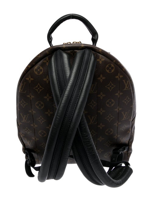 Louis Vuitton LV Monogram Palm Springs MM