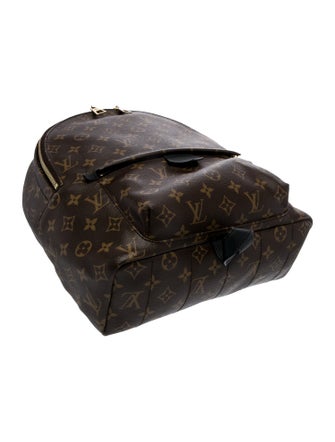 Louis Vuitton LV Monogram Palm Springs MM