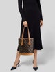 Louis Vuitton LV Monogram Petit Bucket